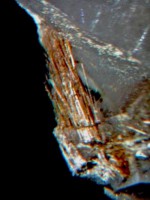 /album/galerie-photos/formigal-rutile-7705mod1-jpg/